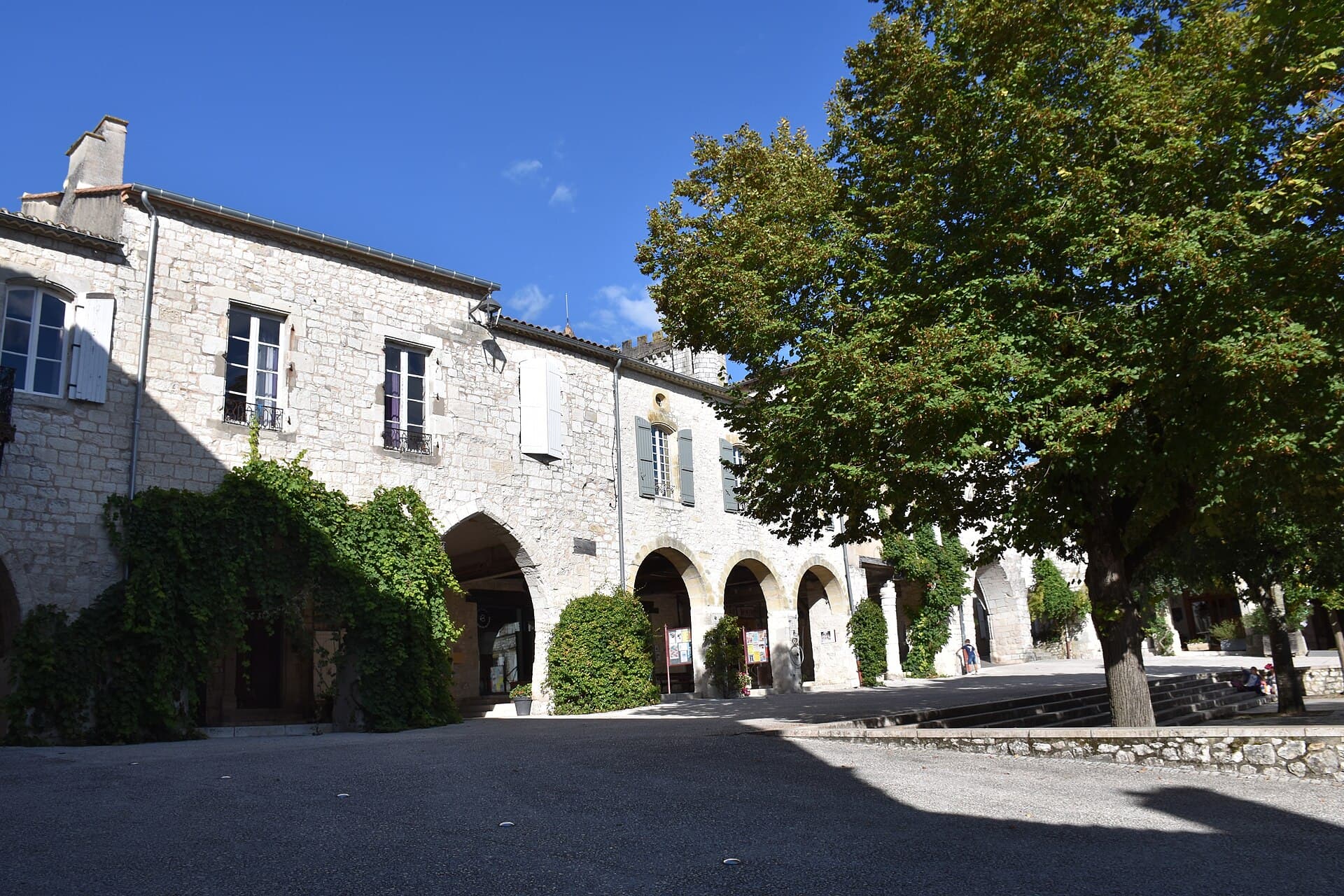 Monflanquin's bastide square, its arcades and its great tree